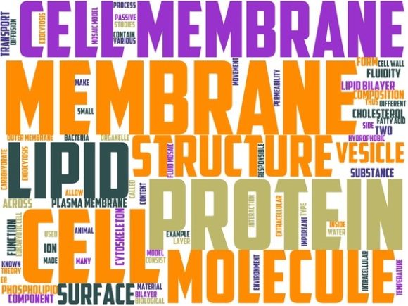 Membranology Wordart Wallpaper: A Strategic Tool for Creative and Practical Expression