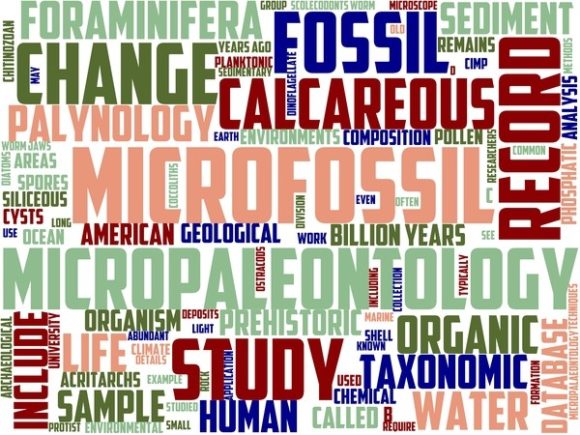 Micropalaeontology Wordart Sticker