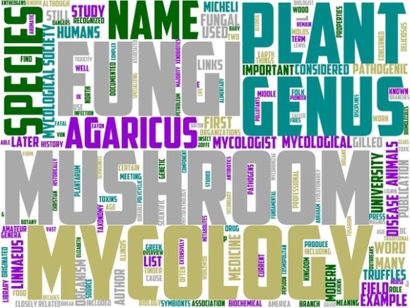 Mycetology Wordart Sublimation
