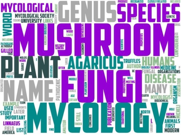 Myology Wordart Wallpaper: A Versatile Hand-Drawn Word Cloud for Creative Expression and Functional Design