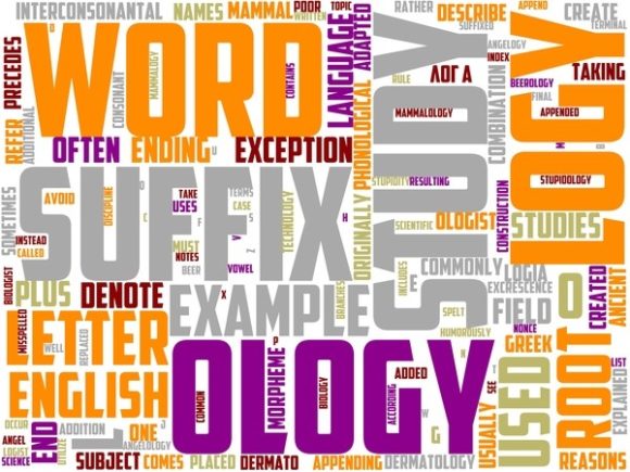 Nidology Wordart Tumbler.jpg: A Versatile Hand-Drawn Wordcloud for Real-World Creative Execution