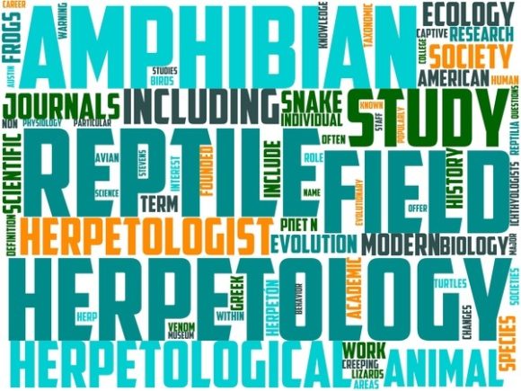 Ophiology Wordart Crafting.jpg: A Hand-Drawn Word Cloud for Real Creative Work